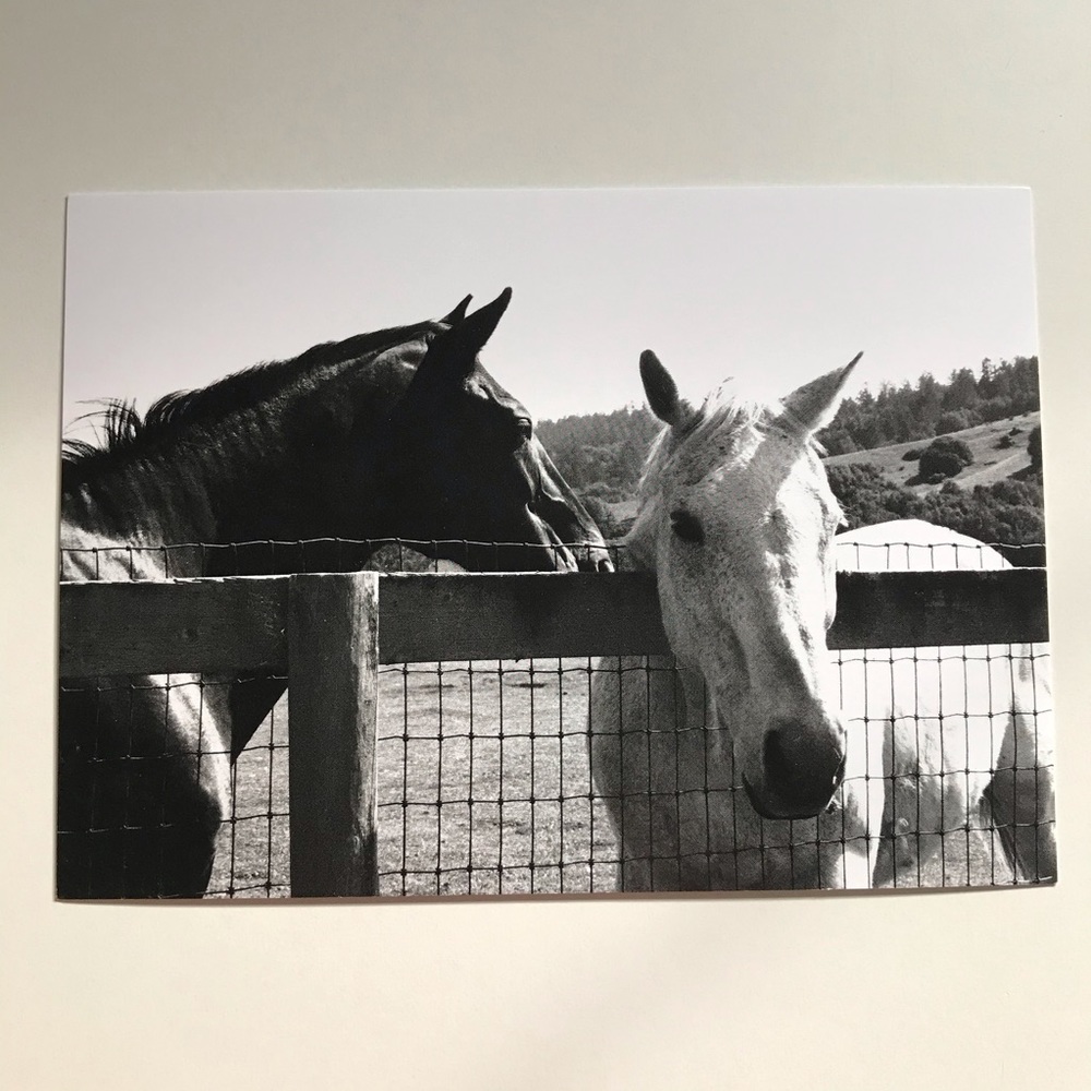 I Sell Photography Art Prints - Picture 5 of 16